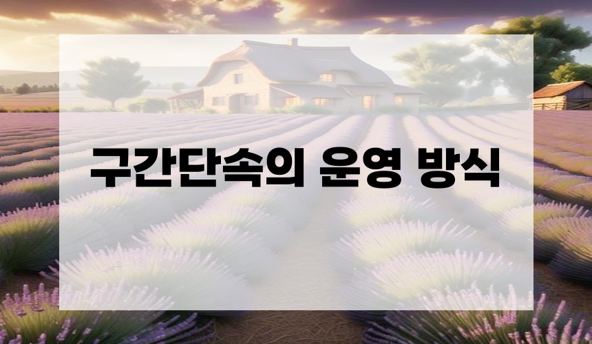 구간단속의 운영 방식