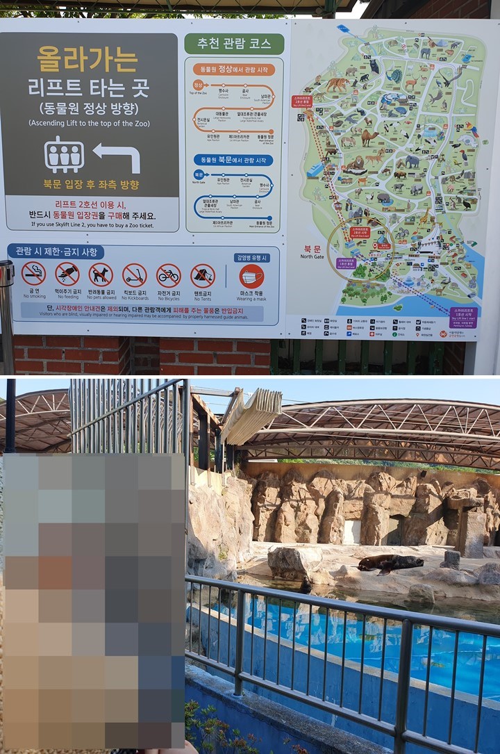 서울대공원 지도 및 사진