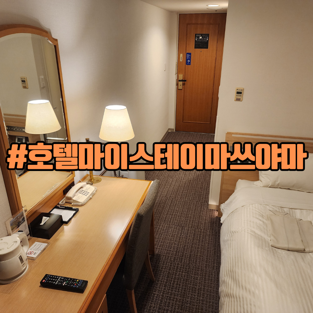 마쓰야마 마이스테이스 호텔
