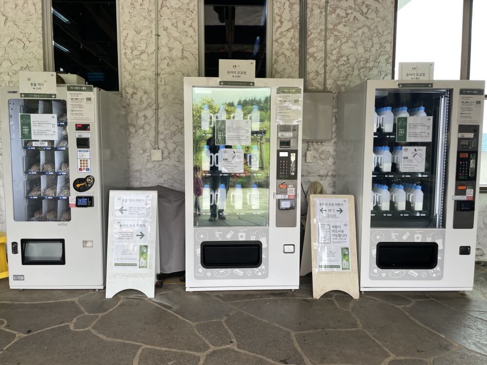 제주-아침미소-목장에서-직접-운영하는-젓소-우유주기-체험-자판기