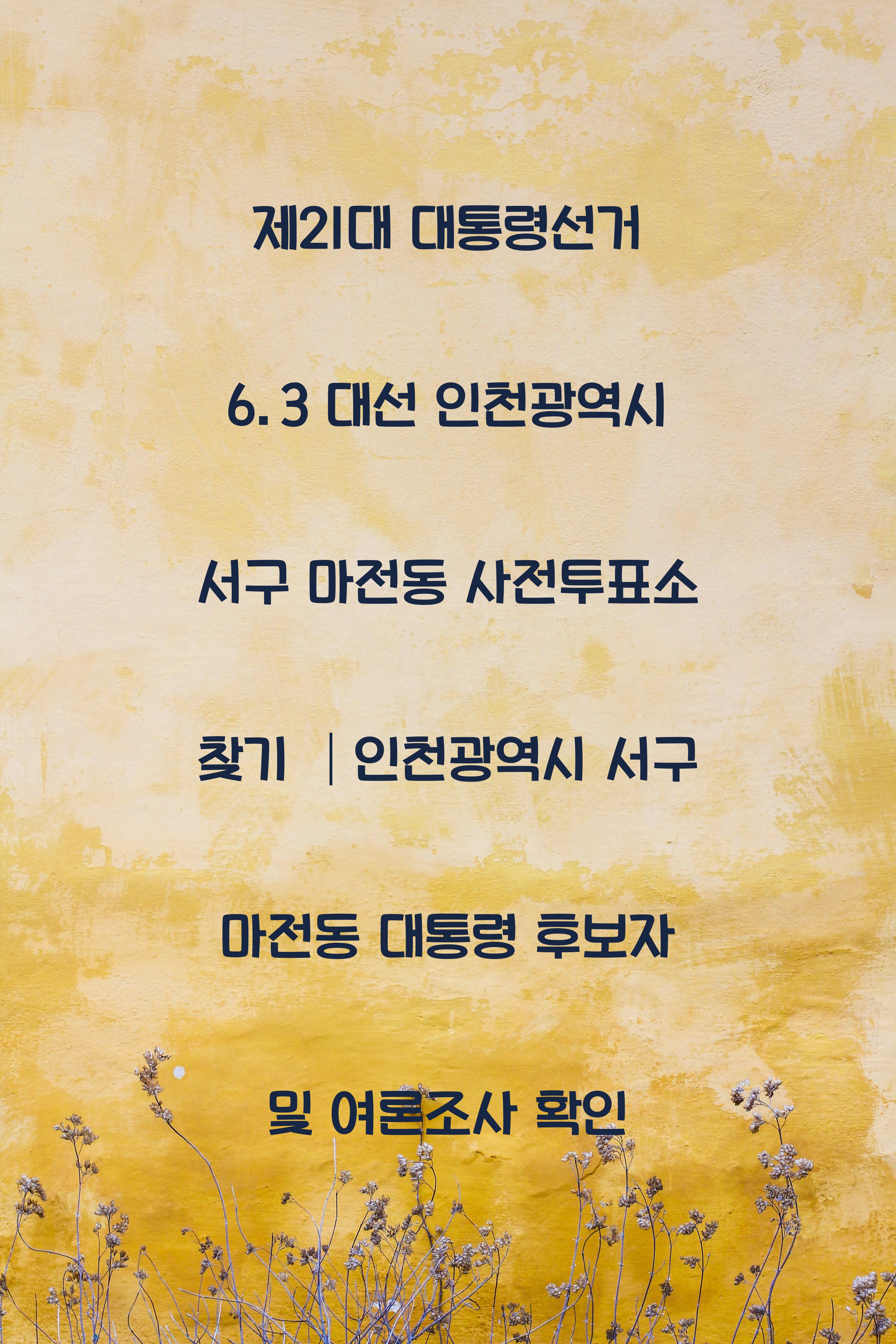제21대 대통령선거 6.3 대선 인천광역시 서구 마전동 사전투표소 안내 │인천광역시 서구 마전동 대통령 후보자 및 여론조사 확인