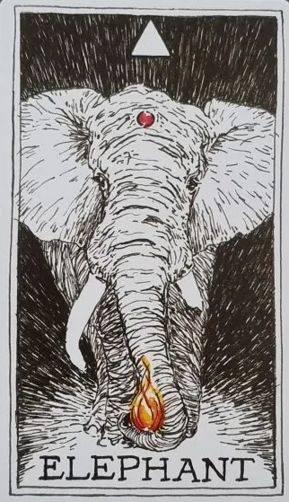  [오라클카드배우기] The wild unknown animal spirit 와일드 언노운 애니멀 스피릿 Elephant 코끼리 해석 및 의미