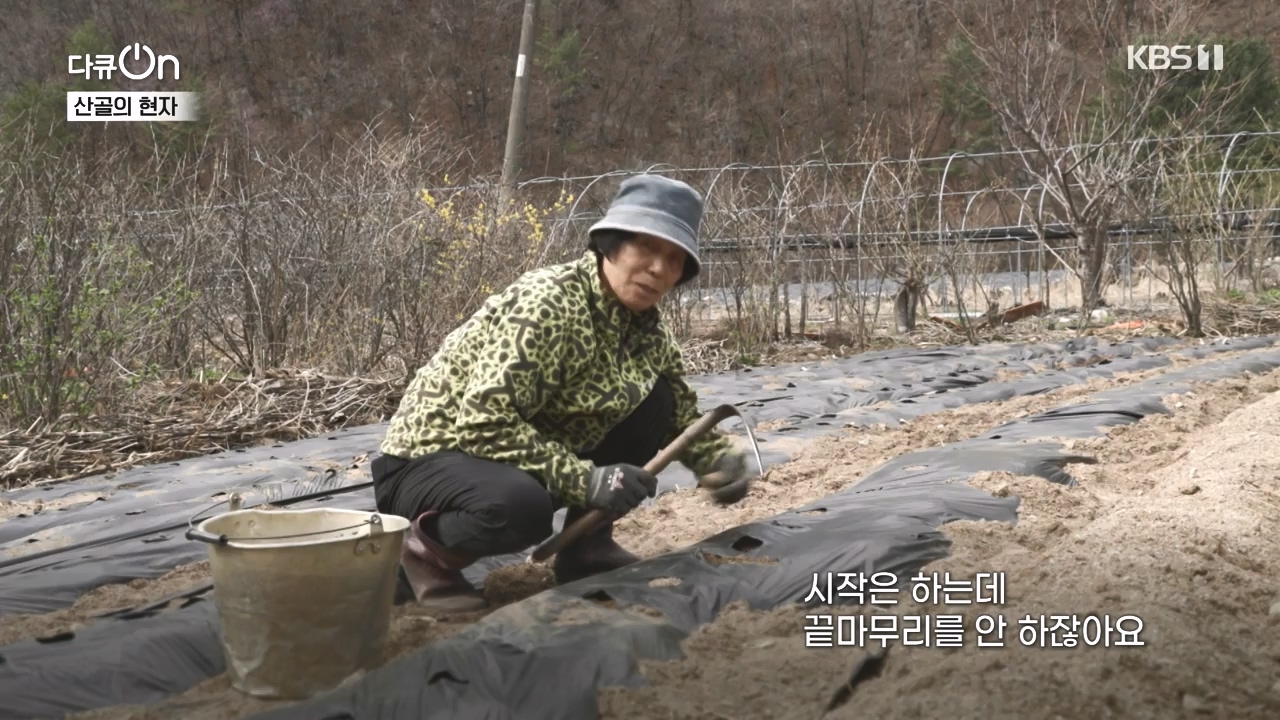 다큐 온.E245.240414p-NEXT.mp4_20240414_142431.971.jpg