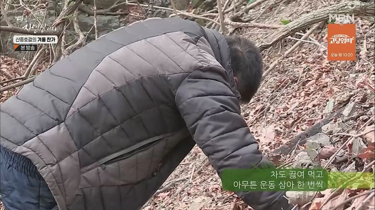 나는 자연인이다.E533.221222p.WANNA.mp4_20221222_194232.541.jpg