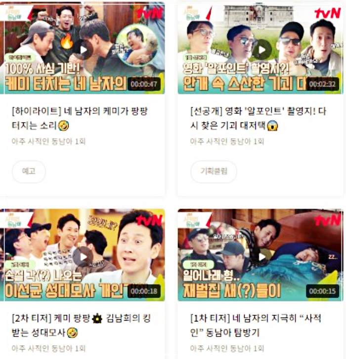 매우 사적인 동남아시아