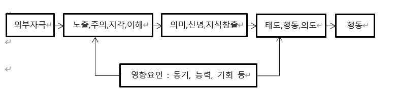  인지적 정보처리 모델에서의 노출과 주의의 개념
