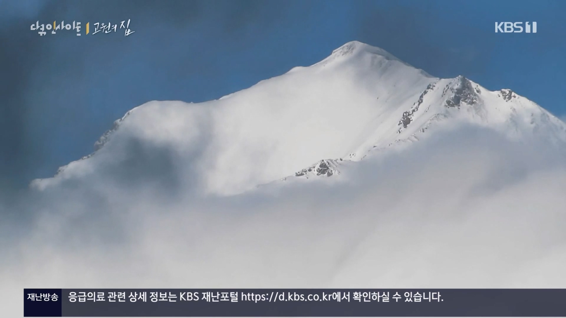 다큐 인사이트.E176.240328p.H264-F1RST.mp4_20240330_162607.331.jpg