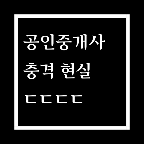  공인중개사 현실에 대해서 알아보자...ssul