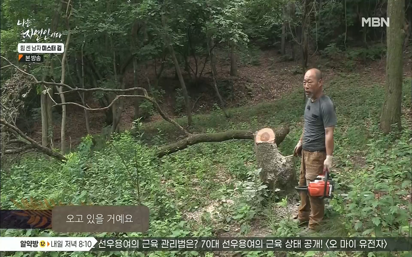 나는 자연인이다.E510.220713p.H264-F1RST.mp4_20220714_180655.499.jpg