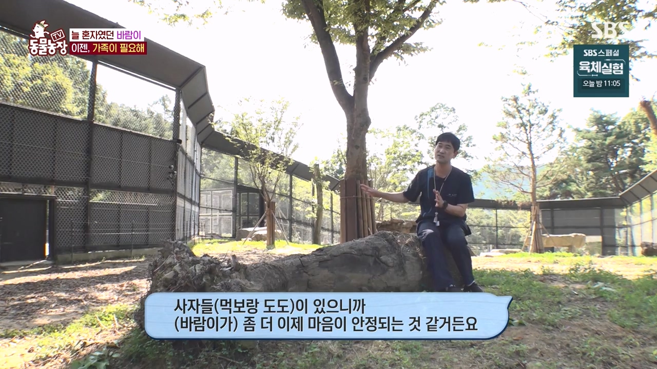 TV 동물농장.E1140.231009p-NEXT.mp4_20231008_174831.008.jpg