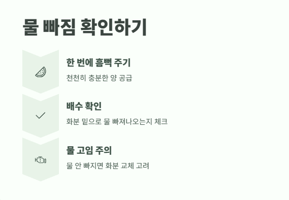 호접란 물주는 방법 9
