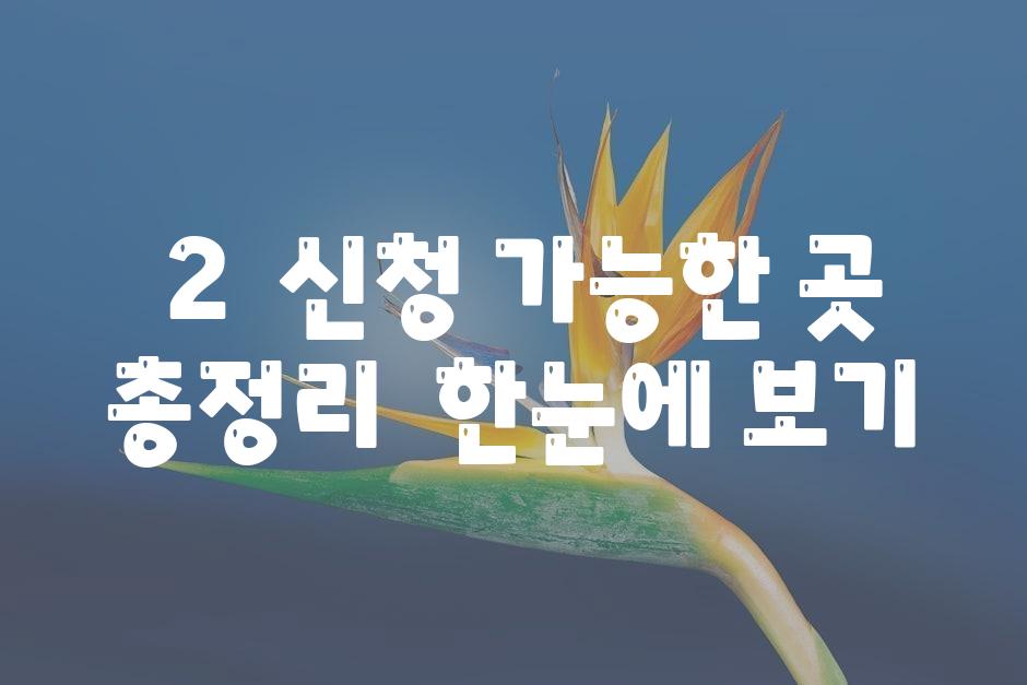 ### 2.  신청 가능한 곳 총정리|  한눈에 보기