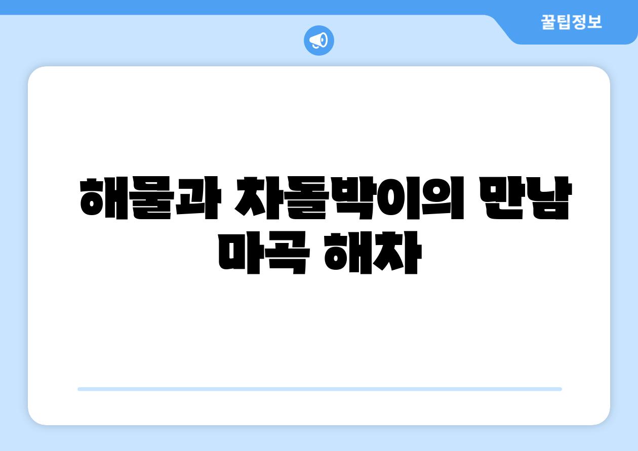해물과 차돌박이의 만남 마곡 해차