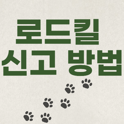  로드킬 신고하는 방법 - 2차 사고 예방해요~!