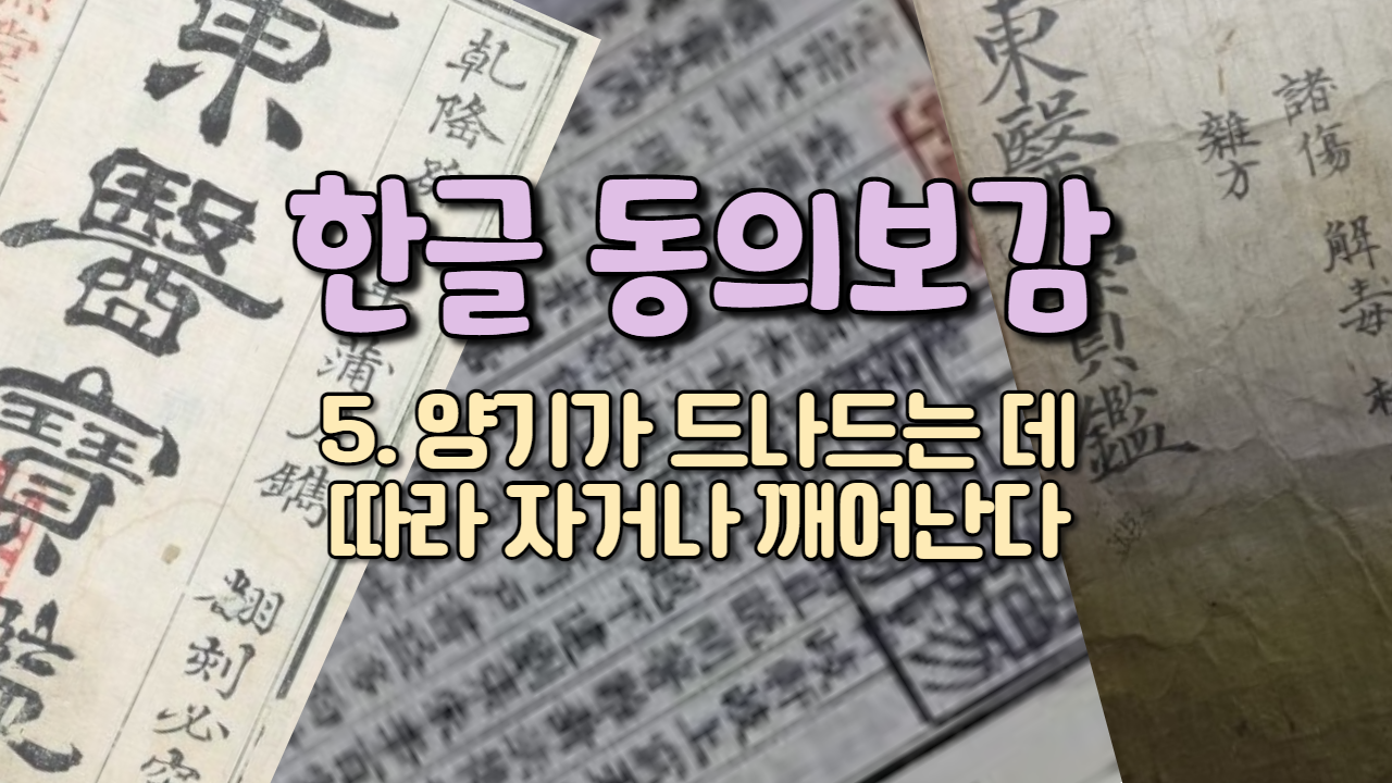  5. 양기가 드나드는 데 따라 자거나 깨어난다 ( 내경편 꿈 )