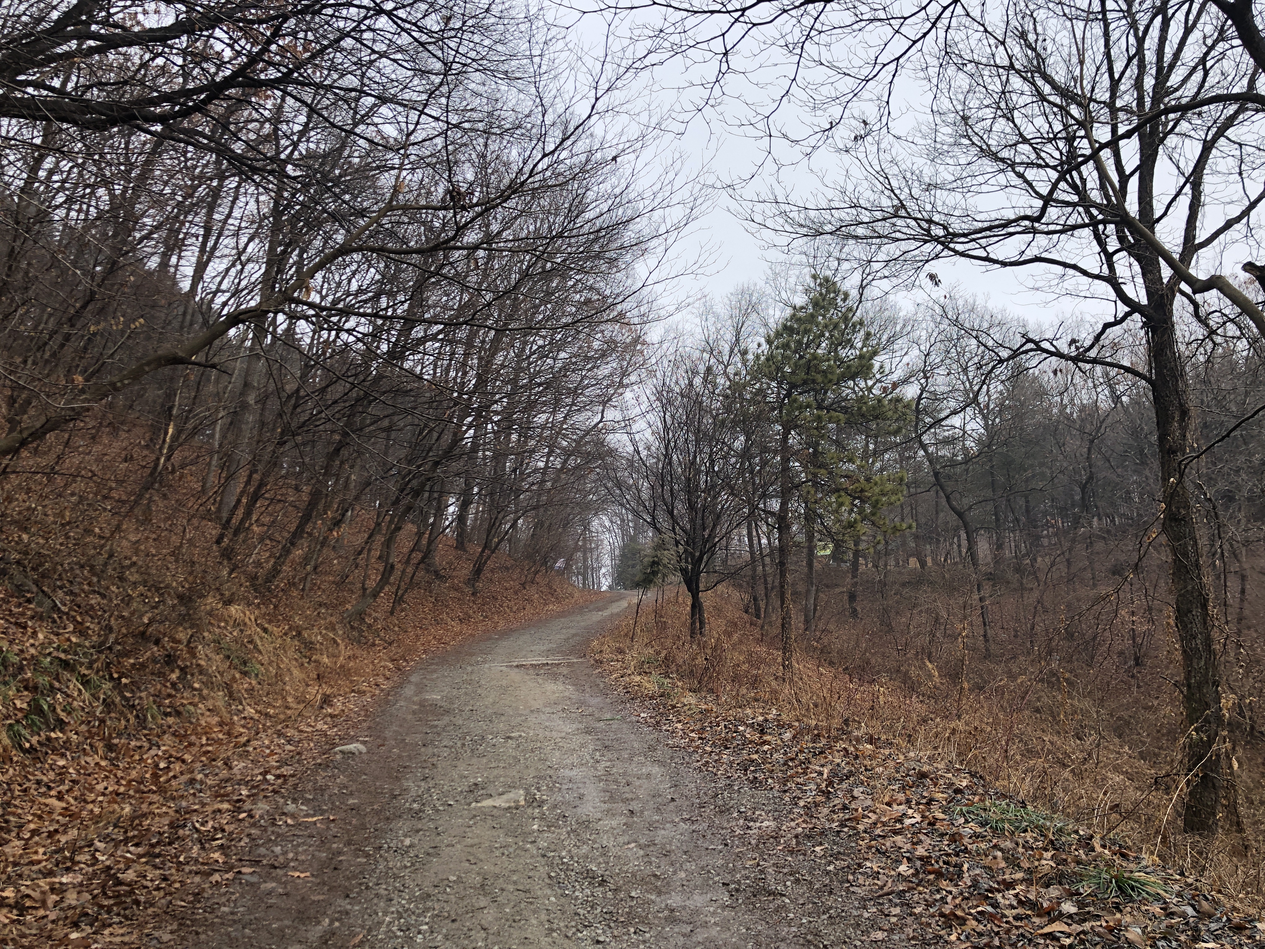 축령산 등산코스