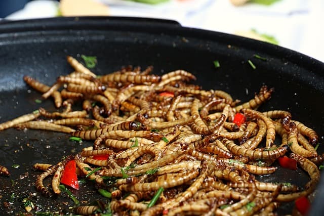 곤충 요리 레시피: 미래의 단백질원을 맛있게 먹는 법