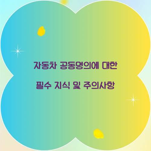 자동차 공동명의