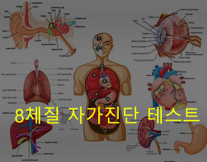 8체질 자가진단 테스트
