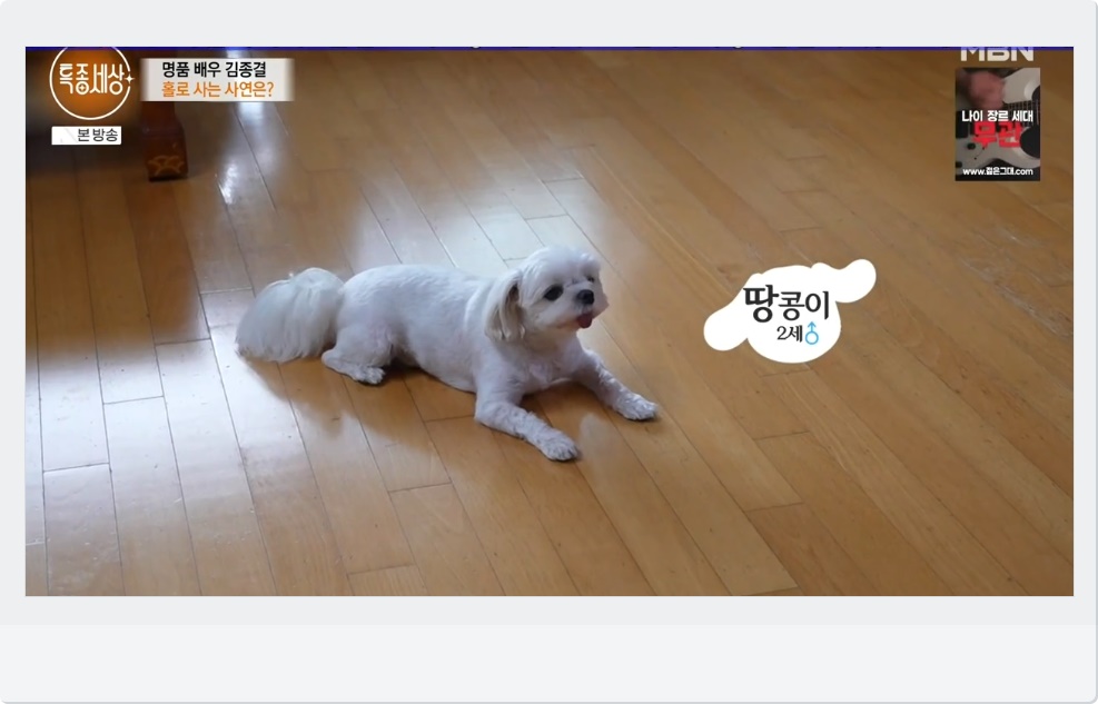 땅콩이
