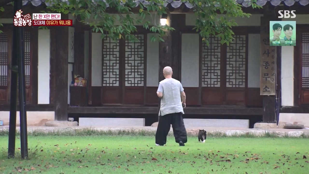 TV 동물농장.E1143.231030p-NEXT.mp4_20231029_164053.382.jpg