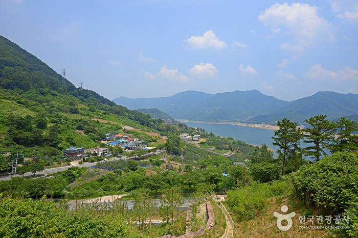 계명산 나무숲길 캠핑장