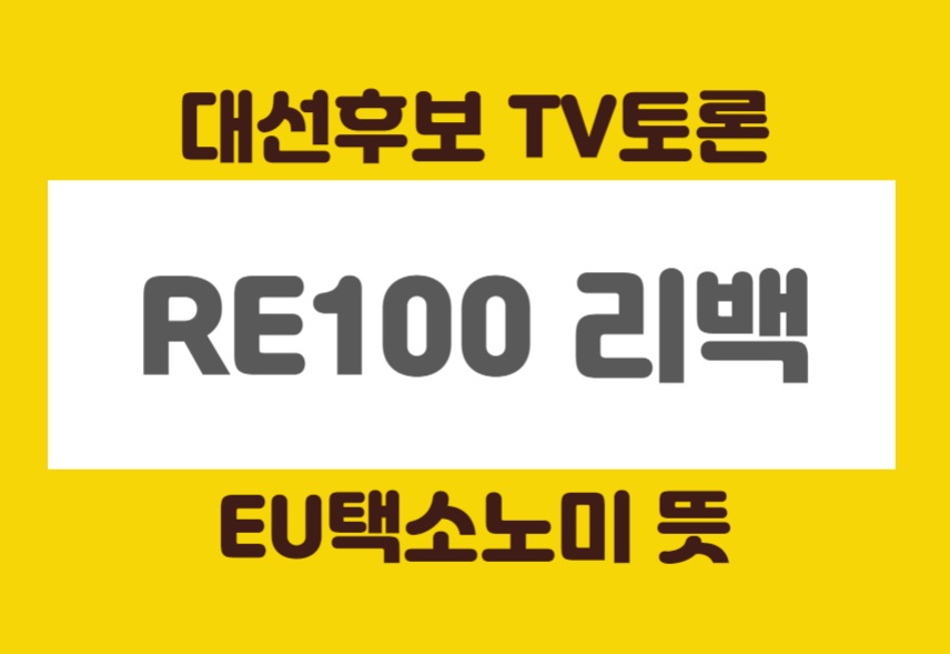  re100 알이백 리백 이재명 윤석렬 토론회 EU택소노미 뜻