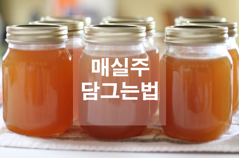  매실주 담그는법