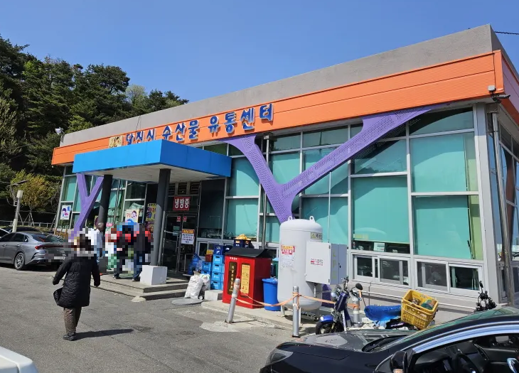 당진 장고항 실치회 수산물유통센터 봄 제철 음식 현지 맛집