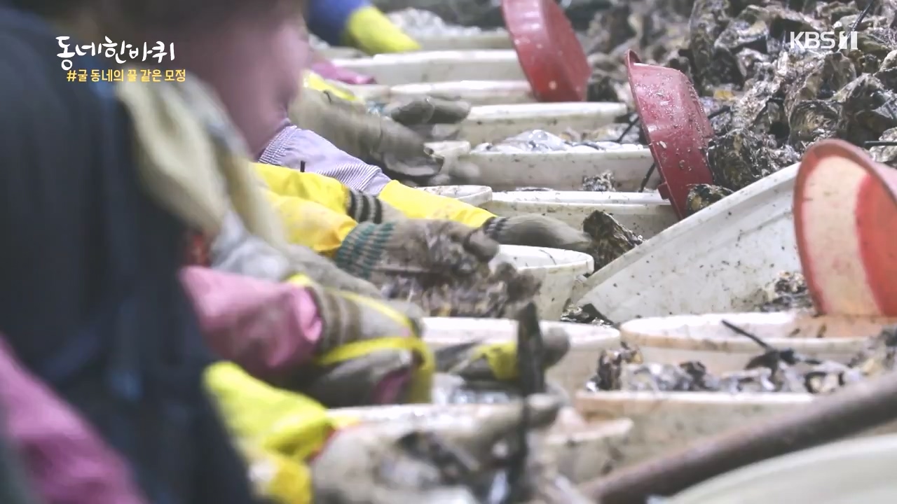 동네 한 바퀴.E243.231015p-NEXT.mp4_20231015_184148.195.jpg