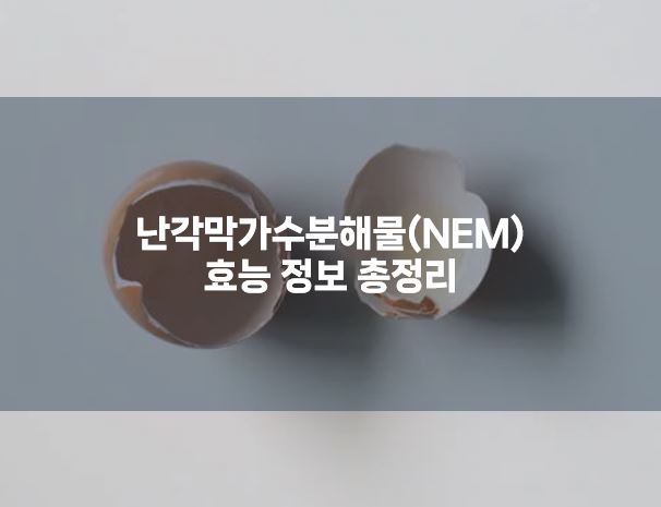 달걀 껍질,난각막가수분해물 효능