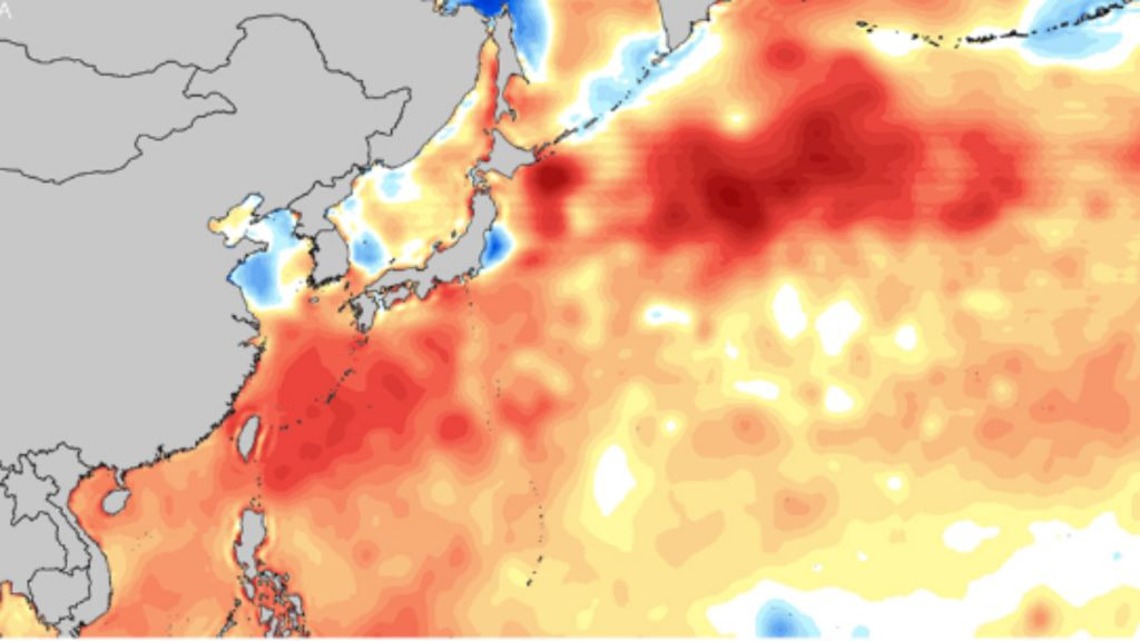 한반도 주변의 해수면 온도가 급격하게 상승하여 한반도에 직접적인 영향을 주고 있는 이미지입니다.