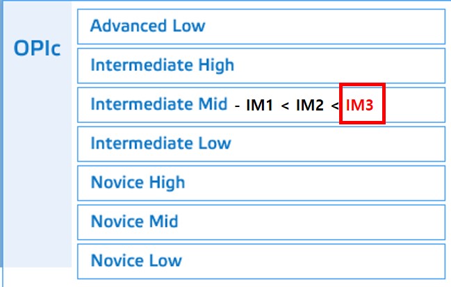 오픽 IM3 등급 안내표