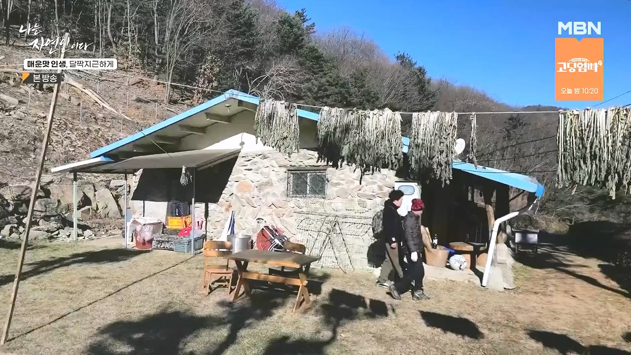 나는 자연인이다.E585.231221p-NEXT.mp4_20231221_200829.367.jpg