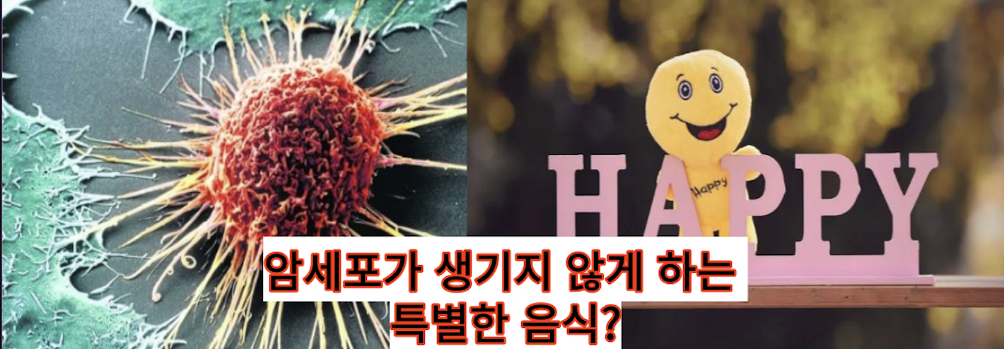  암투병으로 힘드신 분들 집중! 암세포 뿌리를 없애는 음식이 존재한다?(건강정보)