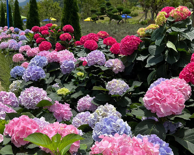 당일 관람 추천 코스