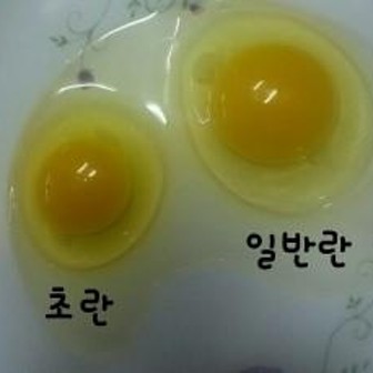 농장 내부