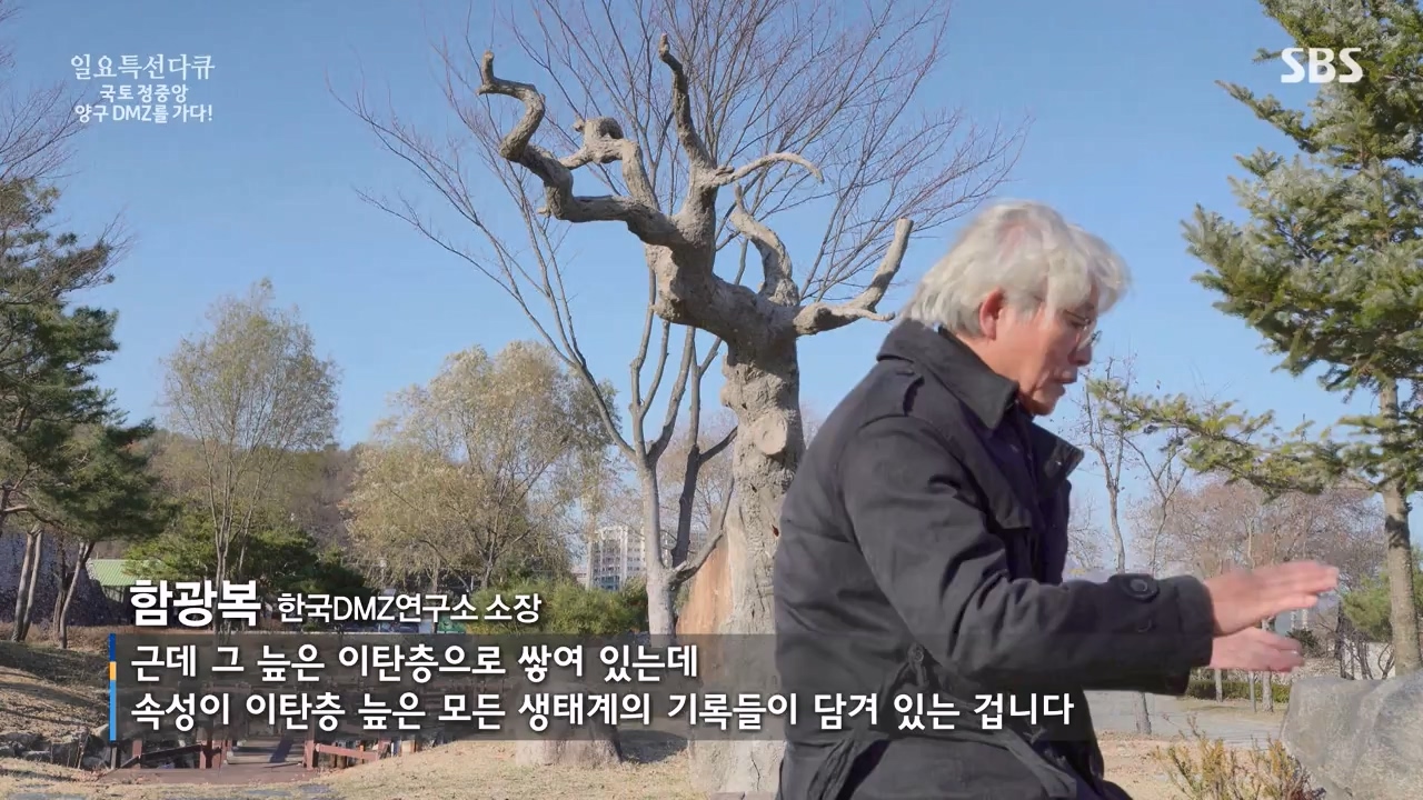 일요특선 다큐멘터리.E344.231204p-NEXT.mp4_20231206_194843.155.jpg