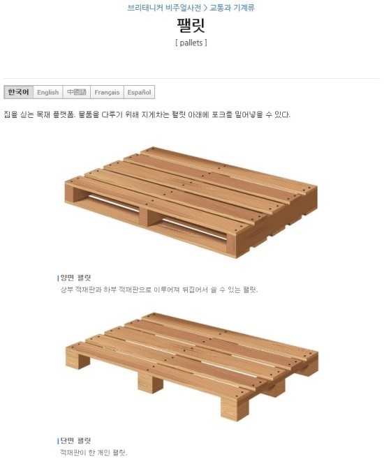 팰럿 이미지
