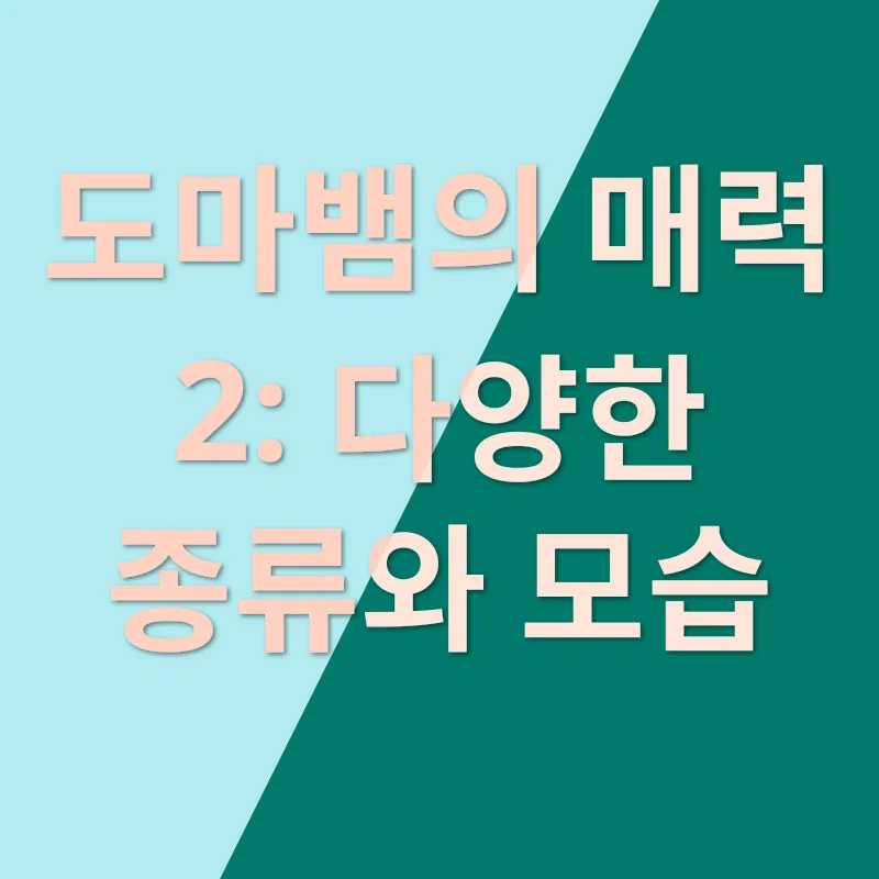 도마뱀 키우기_2