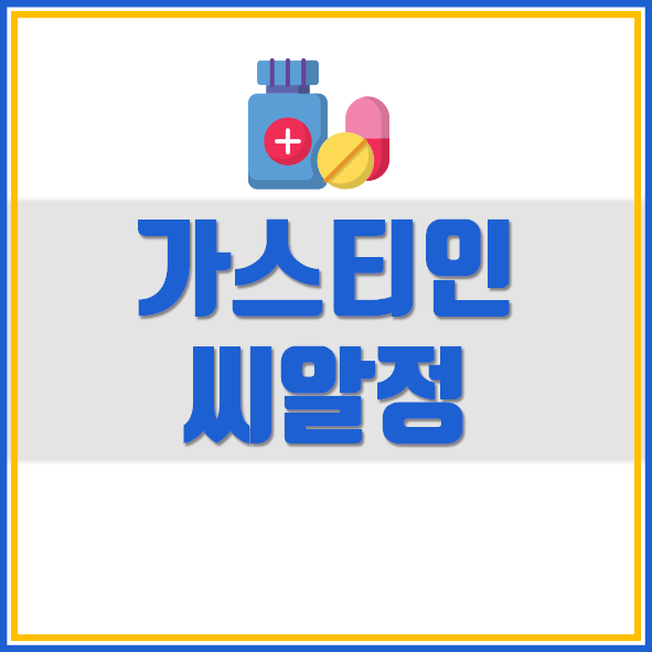  가스티인 씨알정 복용법
