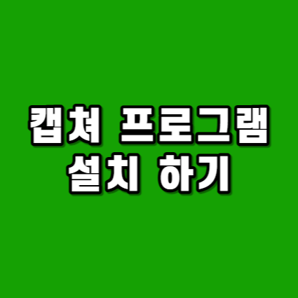대표사진
