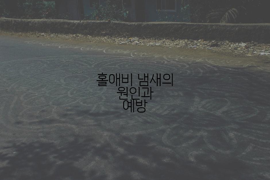 홀애비 냄새의 원인과 예방