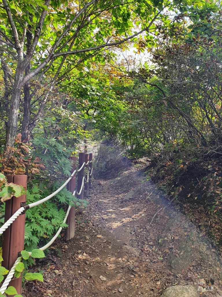 파주 감악산 정상 가는 길