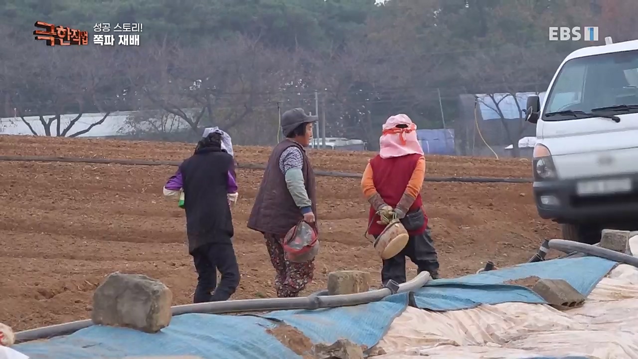 TV - 교육의 중심 EBS성공 스토리! 쪽파 재배와 과일 도매.mp4_20221209_203558.178.jpg