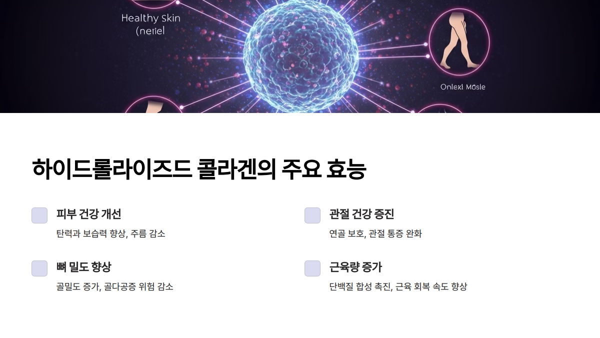 하이드롤라이즈드 콜라겐 효능