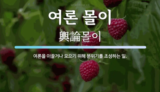  여론 몰이 마녀사냥