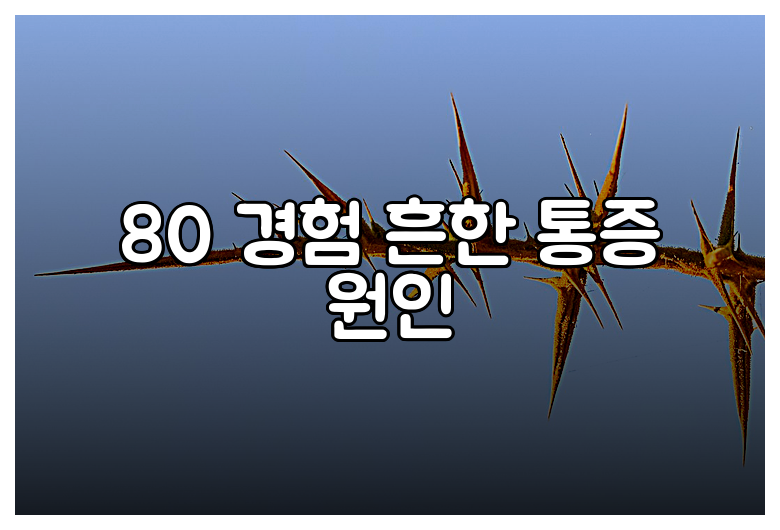 80 경험 흔한 통증 원인