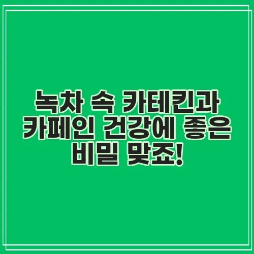녹차 속 카테킨과 카페인 건강에 좋은 비밀 맞죠!