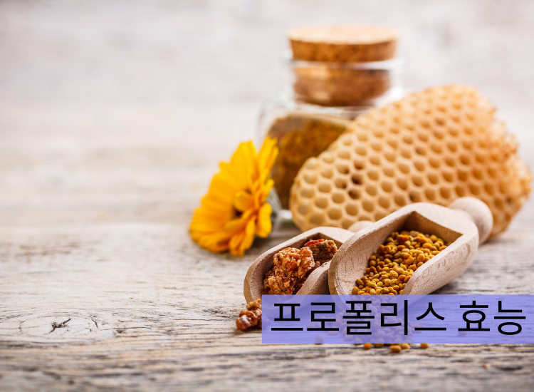 프로폴리스 효능